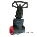 Valve de porte en acier forgé API602 1500lb 2500lb